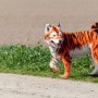 Waterpark Air Panas Darajat Pass Garut, hingga Anjing Nyamar Jadi Harimau