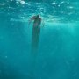 Viral Ikan Oarfish di Pulau Selayar, Pertanda Gempa?