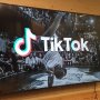 Main TikTok Tercebur Got, Warganet Malah Salah Fokus Sama Hal Lain