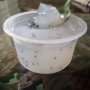 Sempat Dikabarkan Mengandung Plastik, Ini Fakta Tentang Nata de Coco