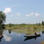 Perluasan Perkebunan Sawit, Ancaman bagi Lingkungan maupun Tradisi