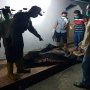 Diduga Tertekan Tangani Covid-19, Dokter Bunuh Diri