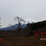 Kaki Gunung Fuji, Tempat Pengujian Jaringan International Roaming Smartfren