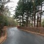 Aokigahara, Hutan Bunuh Diri yang Populer di Jepang