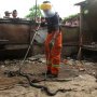 Hilangnya Predator Alami Pemicu Membludaknya Ular Kobra Jawa