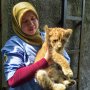 Polda Riau Berhasil Selamatkan Bayi Singa Afrika