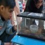 Jemaah Masjid Dihebohkan Teror Ular Kobra yang Bersarang di Mesin Pompa Air