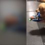 Misteri Pencurian Boneka Amal untuk Natal Terungkap, Anjing Ben Pelakunya