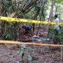 Diinjak Warga saat Cari Burung, Geger Temuan Kerangka Manusia di Pekayon