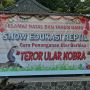 Libur Natal, Yuk Nonton Drama Teror Ular Kobra di Museum Reptil TMII!