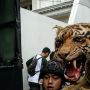 Geledah Rumah Koboi Lamborghini, Polisi Sita Opsetan Harimau Sumatera