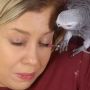 Burung Beo Jadi Makeup Artist, Prosesnya Kocak tapi Bikin Deg-degan