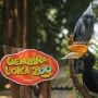 Tak Ada Pemasukan, Kebun Binatang Gembira Loka Produksi Pakan Sendiri
