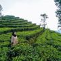 Murah Meriah, Ini 4 Wisata di Yogyakarta untuk Libur Tahun Baru 2020