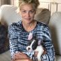 Sudah Berusia 64 Tahun, Aktris Sharon Stone Banjir Pujian saat Tampil Topless