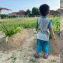Kisah Bocah Panggil-panggil Ibu di Makam Kedua Orangtuanya, Bikin Haru