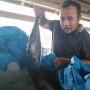 Kisah Pesimisme Pelaku Usaha di Pesisir Pandeglang Jelang Malam Tahun Baru