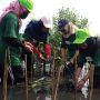 Penanaman Mangrove oleh Koalisi Pemuda Hijau Indonesia (KOPHI) Jawa Tengah