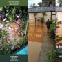 Finding Guppy, Kisah Papa Alfi Cari Ikan Kesayangan yang Terseret Banjir