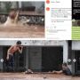 Viral Video Evakuasi Anjing Terjebak Banjir, Warga dan Damkar Dipuji