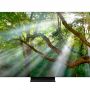 Samsung Boyong QLED 8K TV ke CES 2020