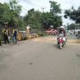 Pengendara Motor di Pandeglang Tewas Tertimpa Pohon Lamtoro