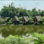 Ngeriung di Pinggir Danau, Menyantap Makanan Khas Sunda di Dusun Bambu