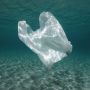 Kenapa Plastik Biodegradable Tak Selalu Cepat Terurai? Ini Temuan Terbarunya