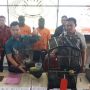 Ribuan Burung Mahal Selundupan Asal Malaysia Diamankan Polisi