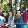 Pohon Menangis Bikin Geger dan 4 Berita Populer Lainnya