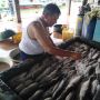 Imbas Tsunami Banten, Produksi Ikan di Pandeglang Menurun 50 Ribu Ton