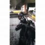 Bukannya Pakai Air, Orang Ini Jadi Viral karena Mandi Oli Bekas