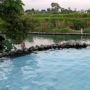 Begini Jernihnya Wisata Air Umbul Siblarak di Klaten, Pengen Nyebur