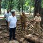 Syok Monas Jadi Gundul, Ketua DPRD DKI: Tahu Begini Gak Saya Kasih Anggaran