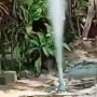 Heboh Gas Bercampur Lumpur Menyembur di Pekarangan Rumah