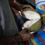 Tega! Penjual Durian  Ini Tentukan Harga Berdasarkan Mobil Pembeli