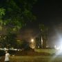 Proyek Revitalisasi Monas Dihentikan, Sejumlah Pohon Mulai Ditanam