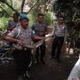 Muncul di Sungai Progo, Seekor Buaya Ditangkap Warga