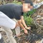 Tilep Uang Rekanan Kantor untuk Bayar Utang, Pemuda Ini Ngaku kena Begal