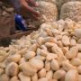 Ini 7 Manfaat Bawang Putih untuk Kesehatan, Termasuk Cegah Kerusakan Hati