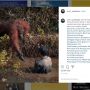 Viral Orangutan Julurkan Tangan Bantu Pria yang Terjebak di Sungai