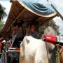 Pedagang Mengeluh Tak Laku, DPP Didesak Tata Pasar Hewan Terpadu Pengasih