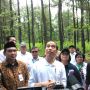 Nasib Terkini Dosen Unnes Penghina Jokowi saat Lawan Prabowo