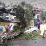 52 Rumah Warga di Bantul Rusak Akibat Pohon Tumbang