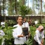 Tinjau Kebun Bibit di Gunung Merapi, Jokowi: Rakyat Suka Jengkol