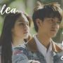 FIlm Milea: Suara dari Dilan Raih 822 Ribu Tiket, Penonton Dikasih Bonus