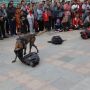 Anjing Pelacak Temukan Bahan Peledak di CFD