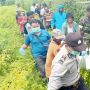 Diduga Nyolong Cabai Rawit, Faisol Tewas Dibedil Pemilik Kebun
