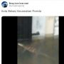 Viral Video Hewan Mirip Buaya Berenang di Tengah Banjir di Bekasi