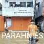 Kreatif, Pemuda Ini Protes Banjir Jakarta Pakai Poster Film Parasite